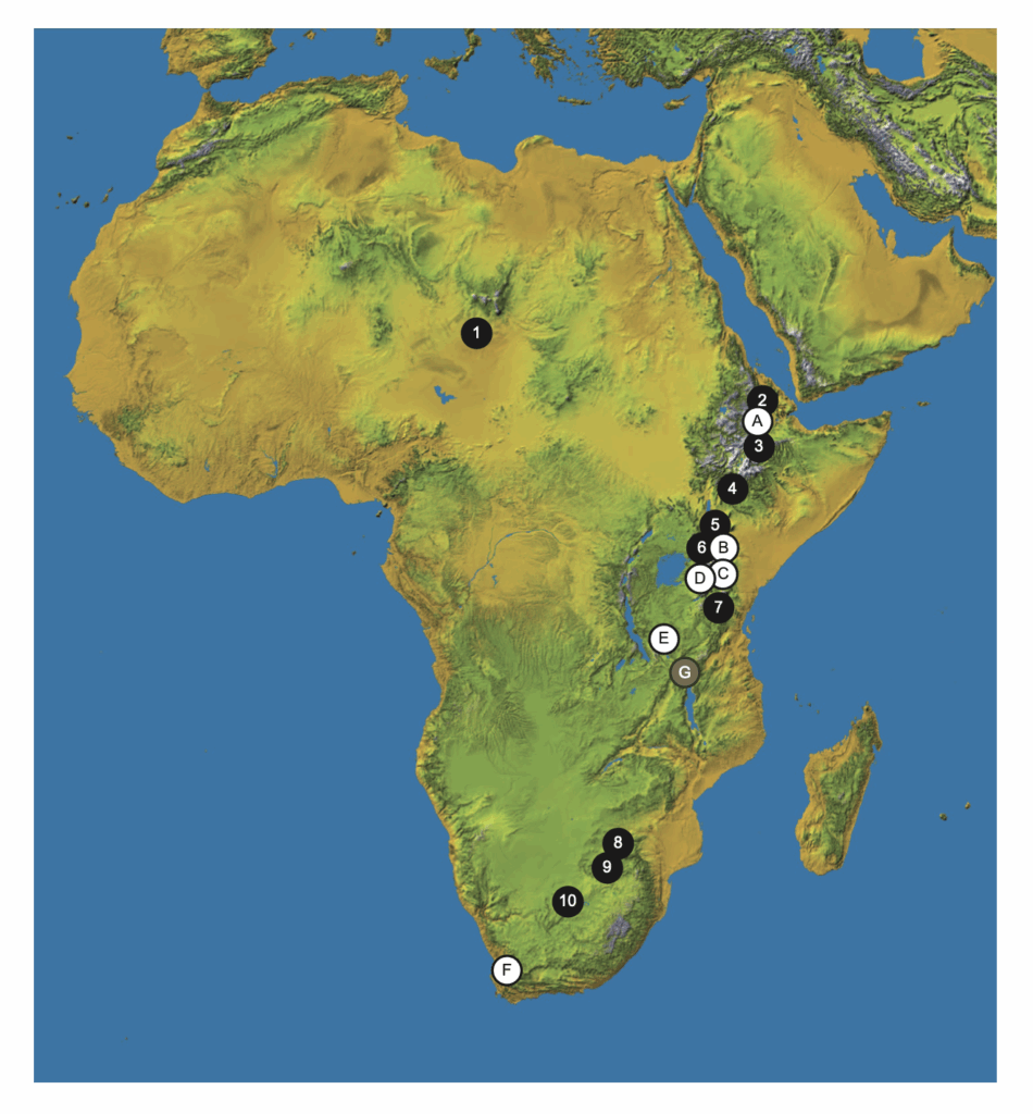 Map image from Orr et al (2023), Paleosol-derived paleoclimate and paleoenvironment reconstruction of the Rukwa Rift Basin, Tanzania, showing the value of creating an image for literature reviews.